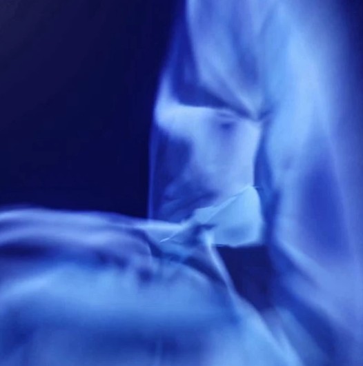 Vellum 003 by GAMMA Studio. Enigmatic dance movement under elegant fabric, digital sculpture NFT.